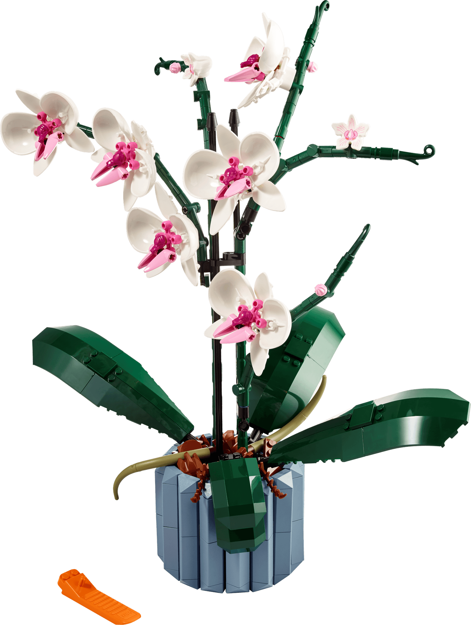 Orchid collectible