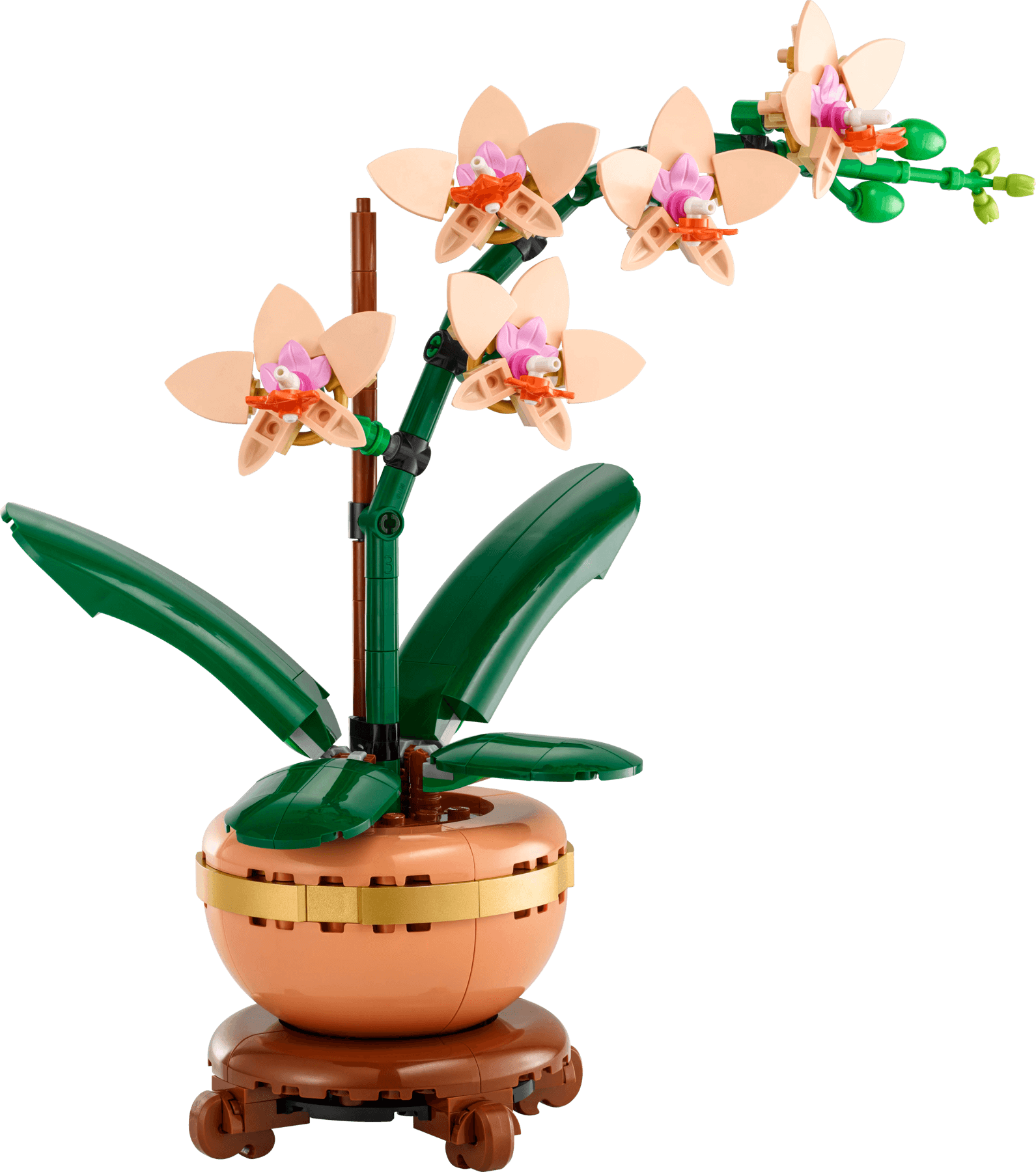 Mini Orchid collectible