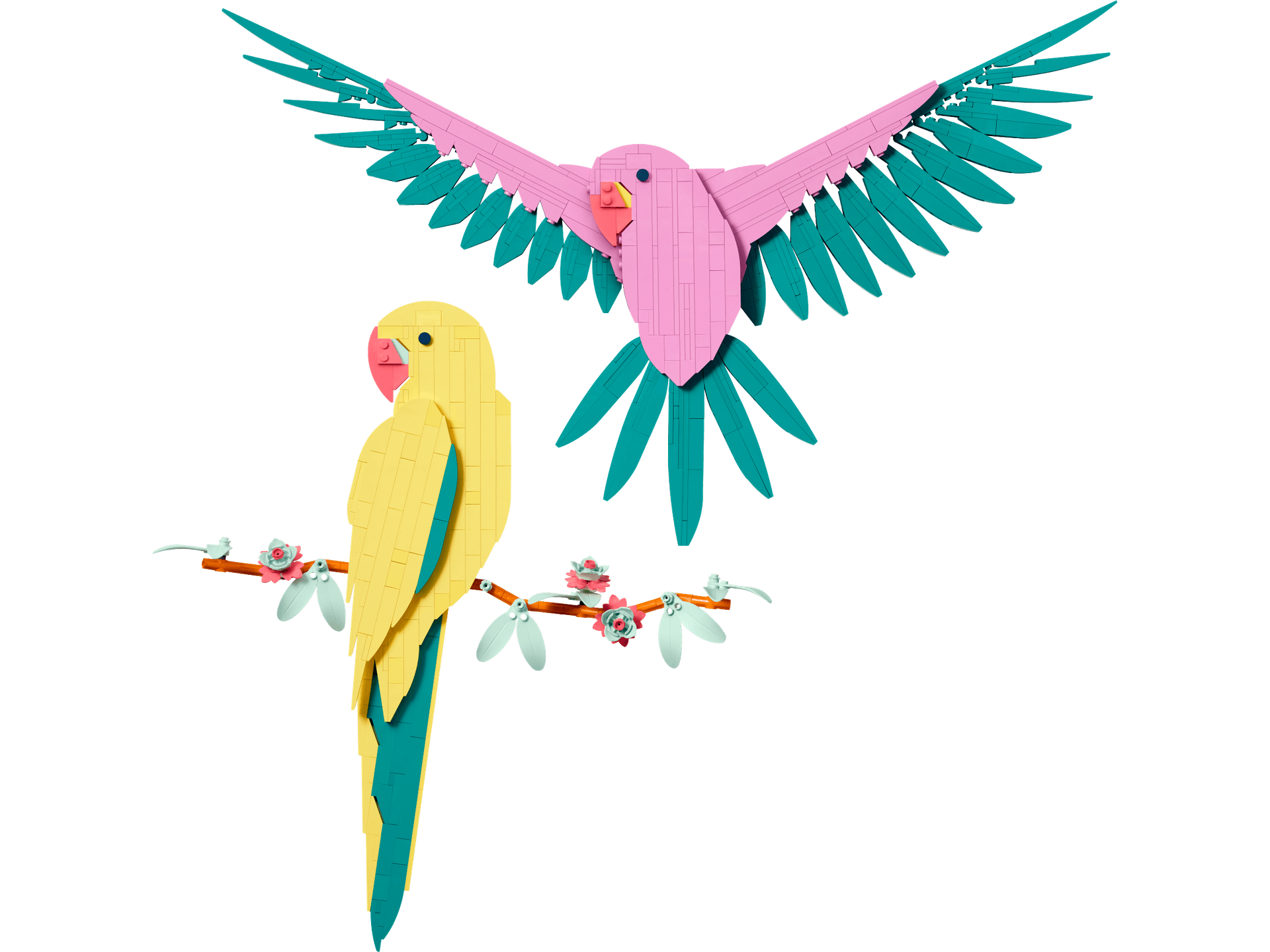 Macaw Parrots collectible