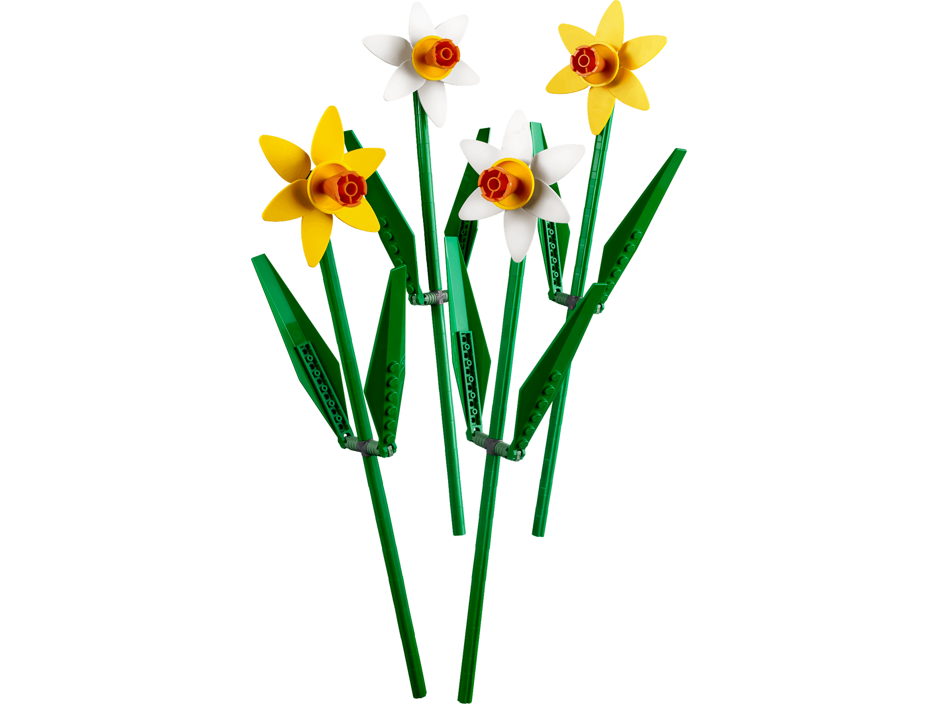 Daffodils collectible