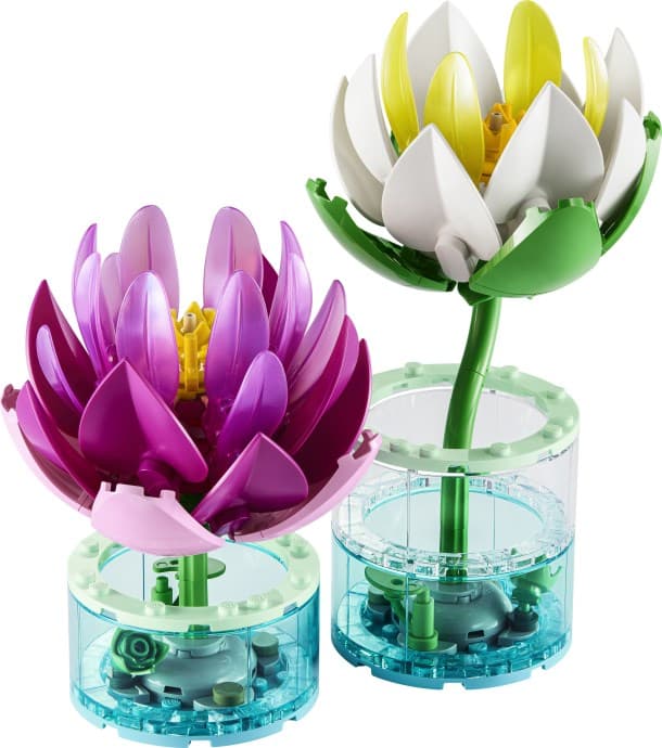 Water Lilies collectible
